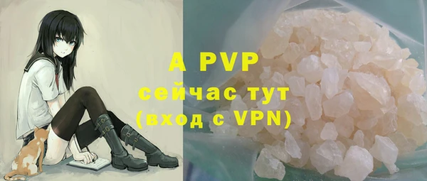 стафф Заводоуковск