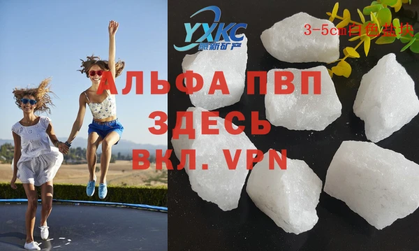 стафф Заводоуковск