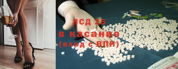 стафф Заводоуковск