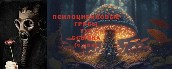 метадон Заволжск