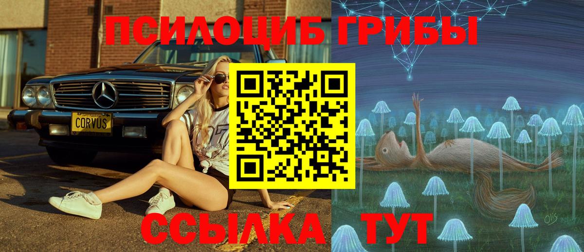 Саяногорск  Псилоцибиновые грибы Psilocybine cubensis  Галлюциногенные грибы MAGIC MUSHROOMS  Вход с VPN 